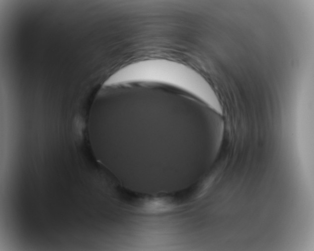 X0000089730235200707201847