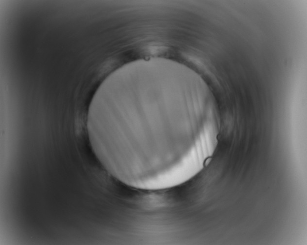 X0000089730236200707201847