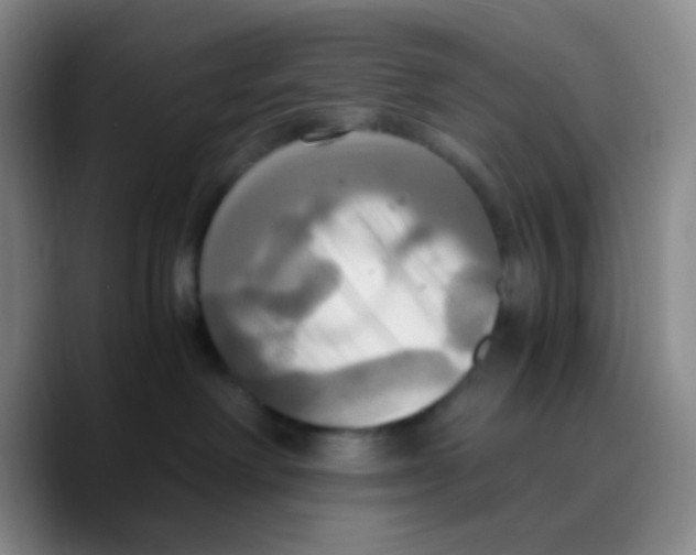 X0000089730238200707201847