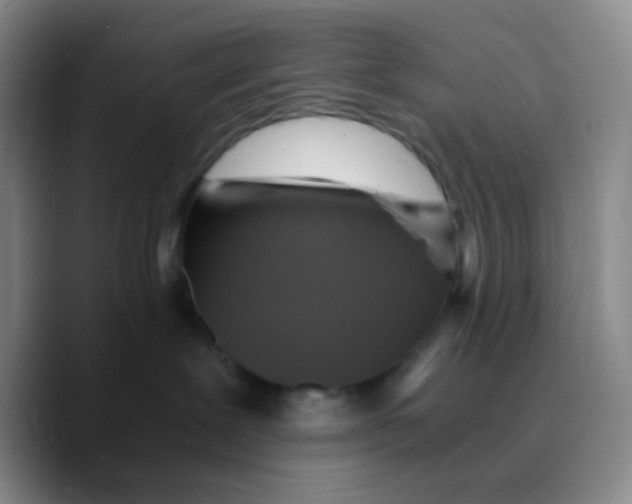 X0000089730239200707201847