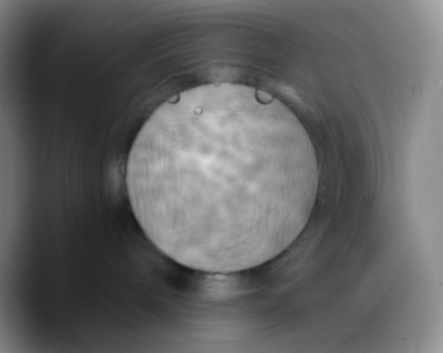 X0000089730240200707201847