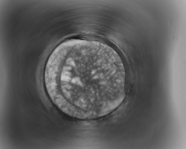 X0000089730241200707201847