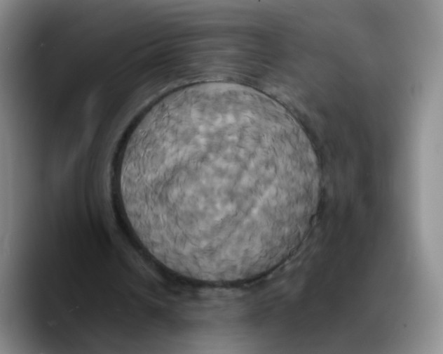 X0000089730242200707201847