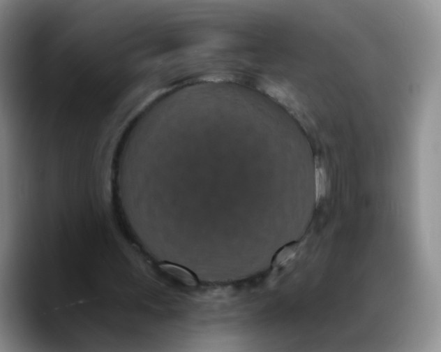 X0000089730243200707201847