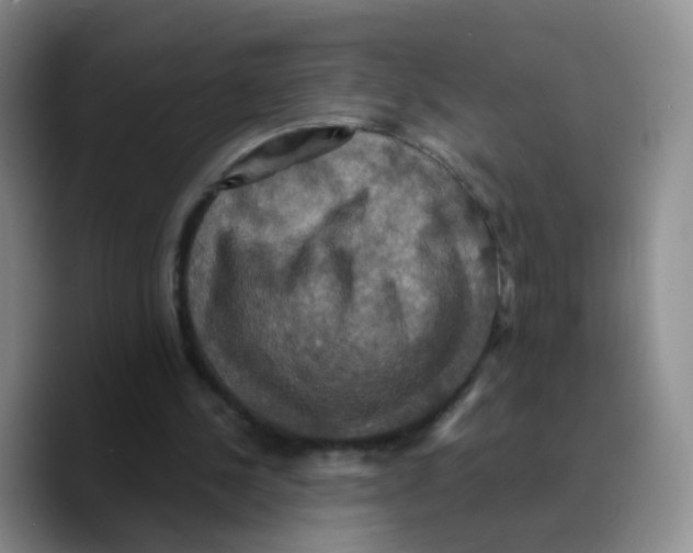 X0000089730244200707201847
