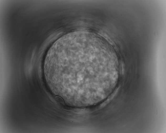 X0000089730245200707201847