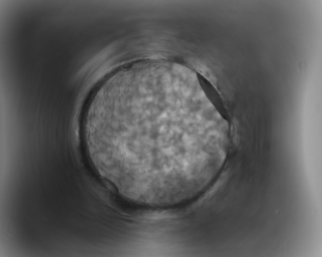 X0000089730246200707201847