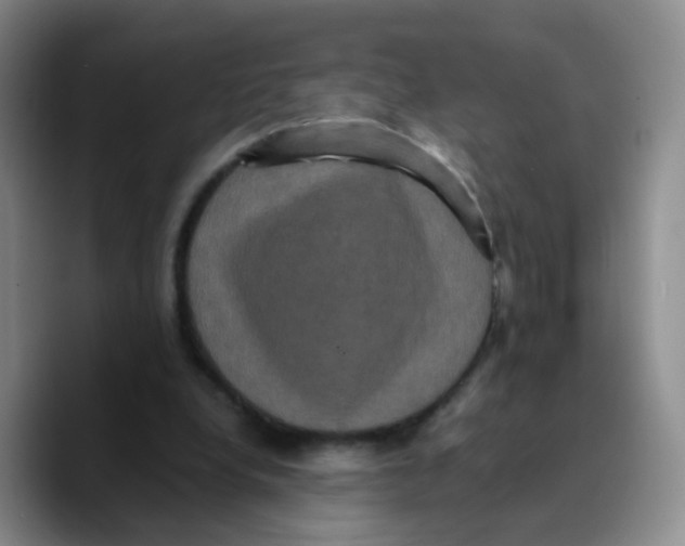 X0000089730248200707201847