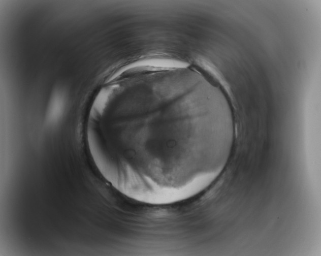 X0000089730249200707201847