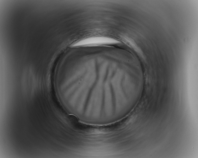 X0000089730250200707201847