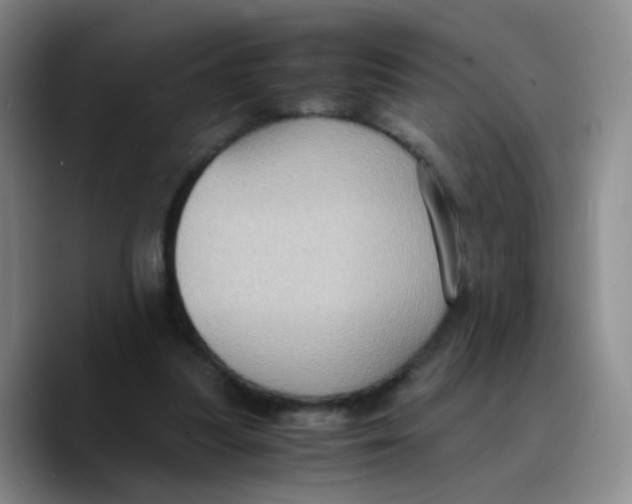 X0000089730251200707201847