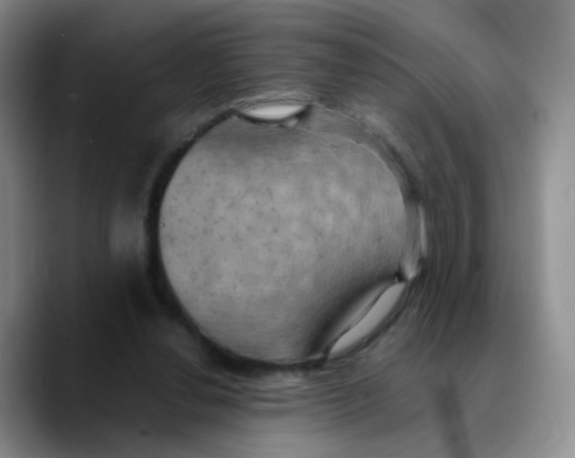 X0000089730252200707201847