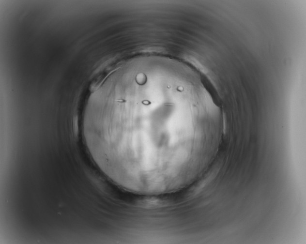 X0000089730253200707201847