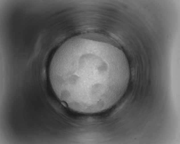 X0000089730254200707201847
