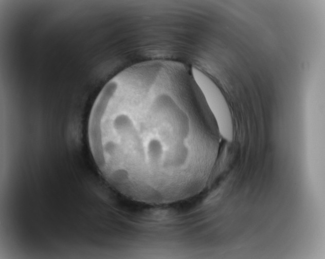 X0000089730255200707201847