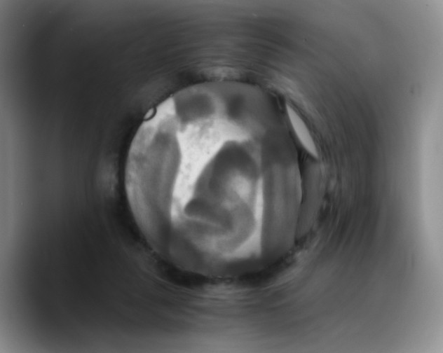 X0000089730259200707201847