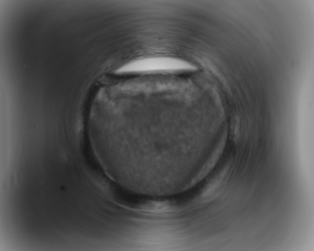 X0000089730260200707201847
