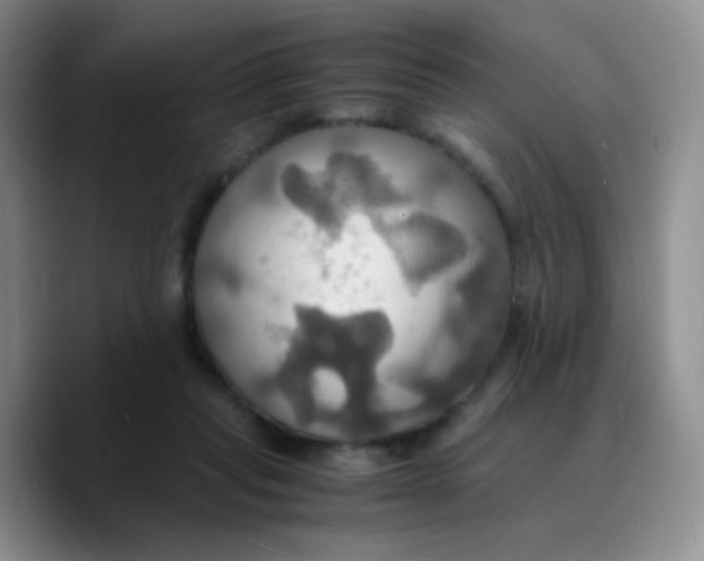 X0000089730261200707201847