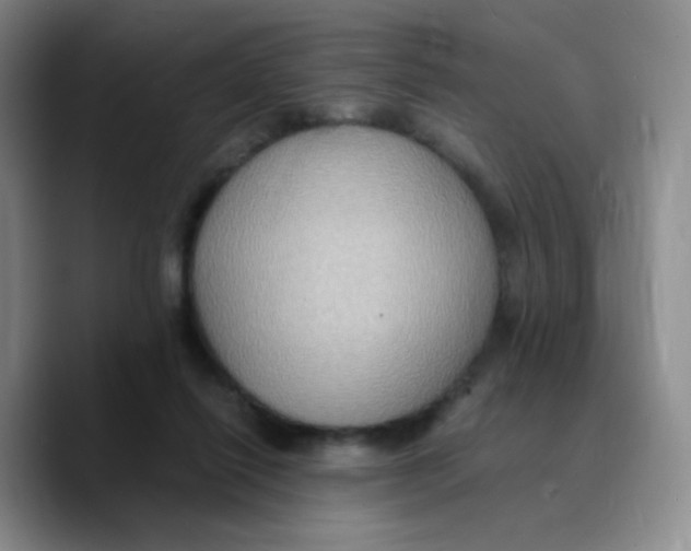 X0000089730262200707201847