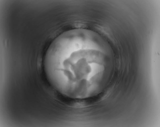 X0000089730263200707201847