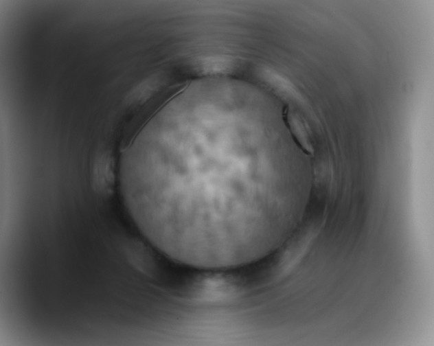 X0000089730264200707201847