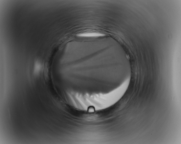 X0000089730266200707201847
