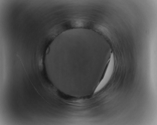 X0000089730267200707201847