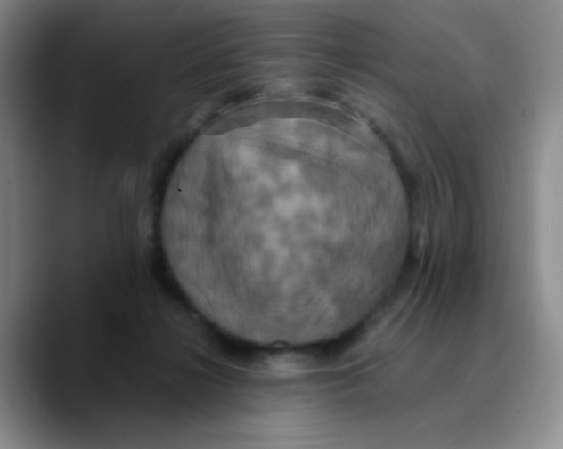 X0000089730268200707201847