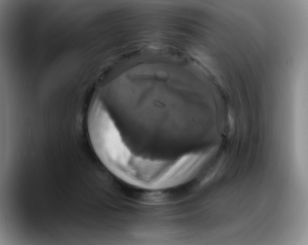 X0000089730269200707201847