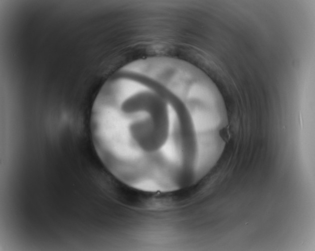 X0000089730270200707201847