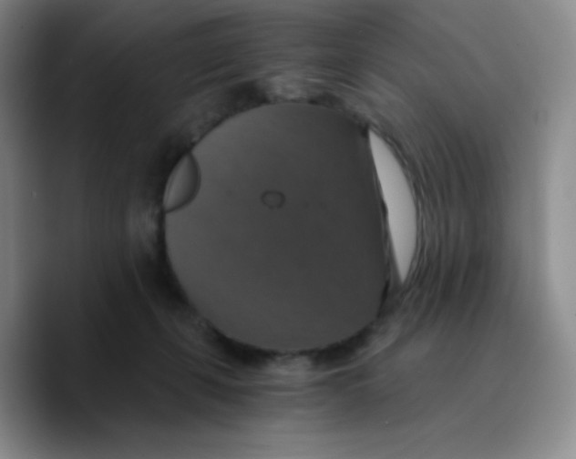 X0000089730271200707201847