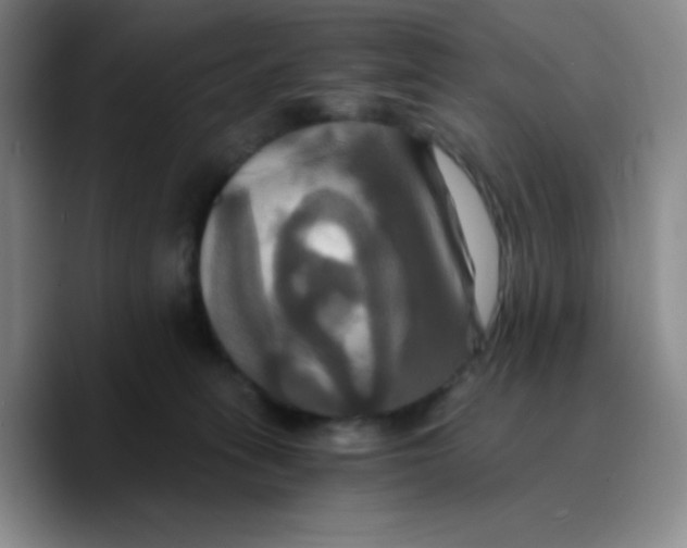 X0000089730275200707201847