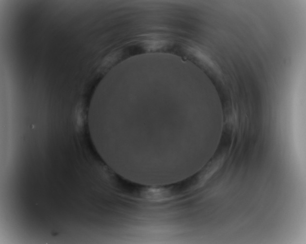 X0000089730277200707201847