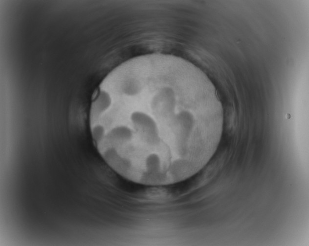 X0000089730279200707201847