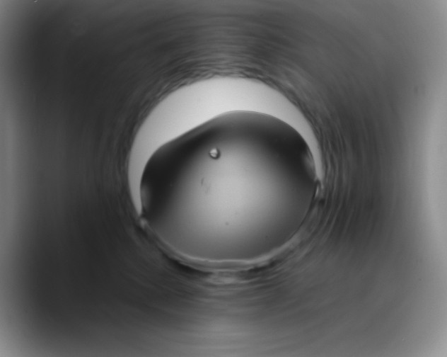 X0000089730280200707201847