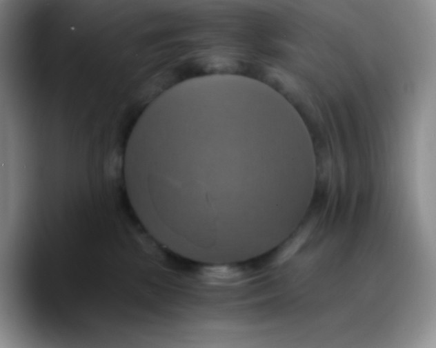 X0000089730281200707201847