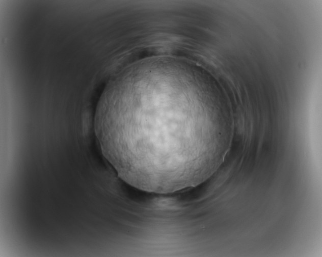 X0000089730283200707201847