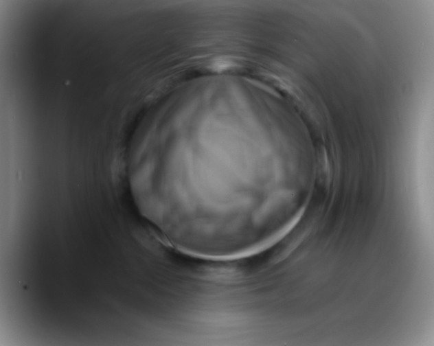 X0000089730284200707201847