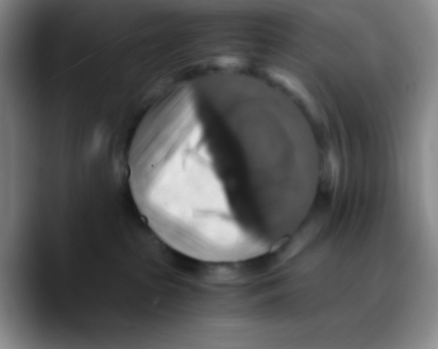 X0000089730285200707201847