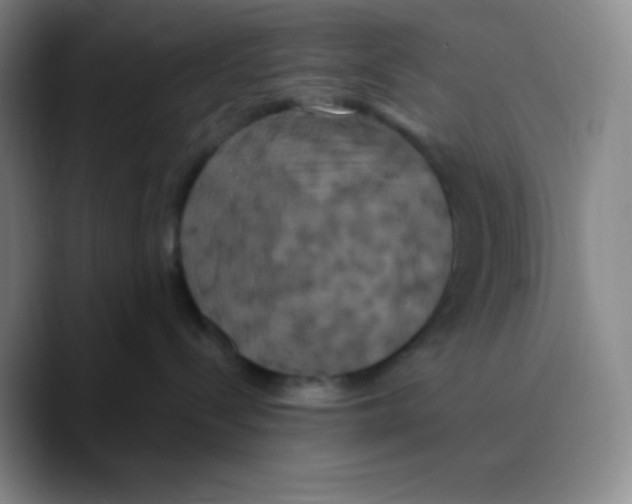 X0000089730288200707201847