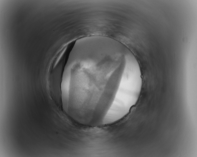 X0000089730290200707201847