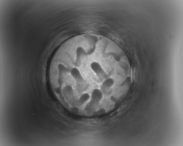 X0000089730291200707201847
