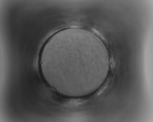 X0000089730292200707201847