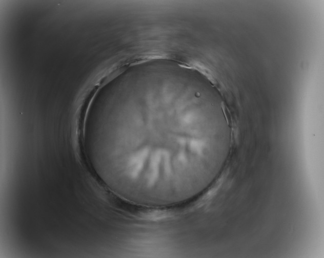 X0000089730293200707201847