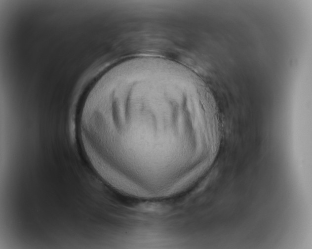 X0000089730294200707201847