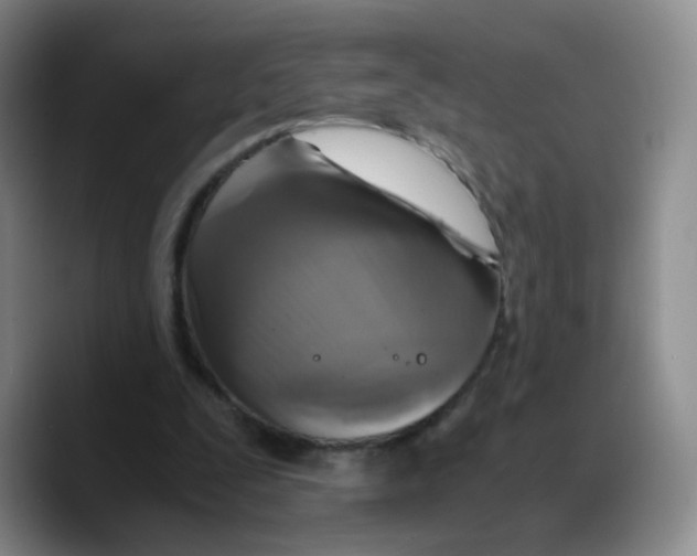 X0000089730295200707201847