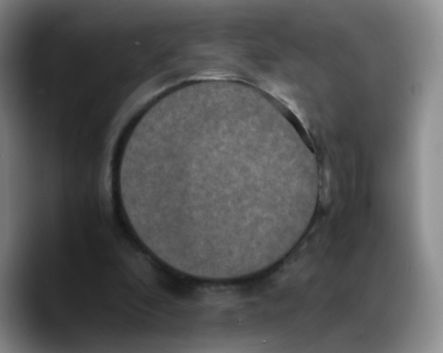 X0000089730296200707201847