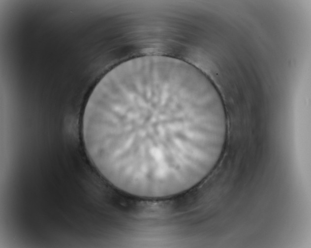 X0000089730297200707201847