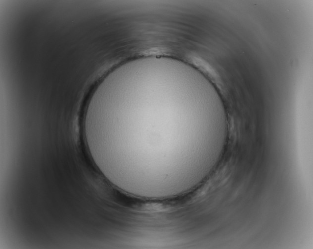 X0000089730298200707201847