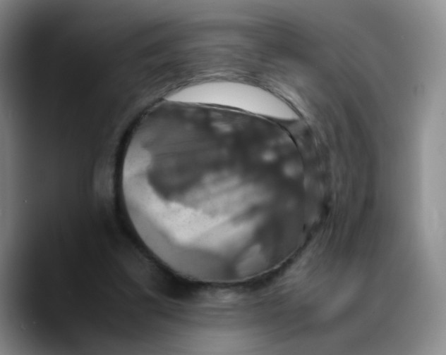 X0000089730299200707201847